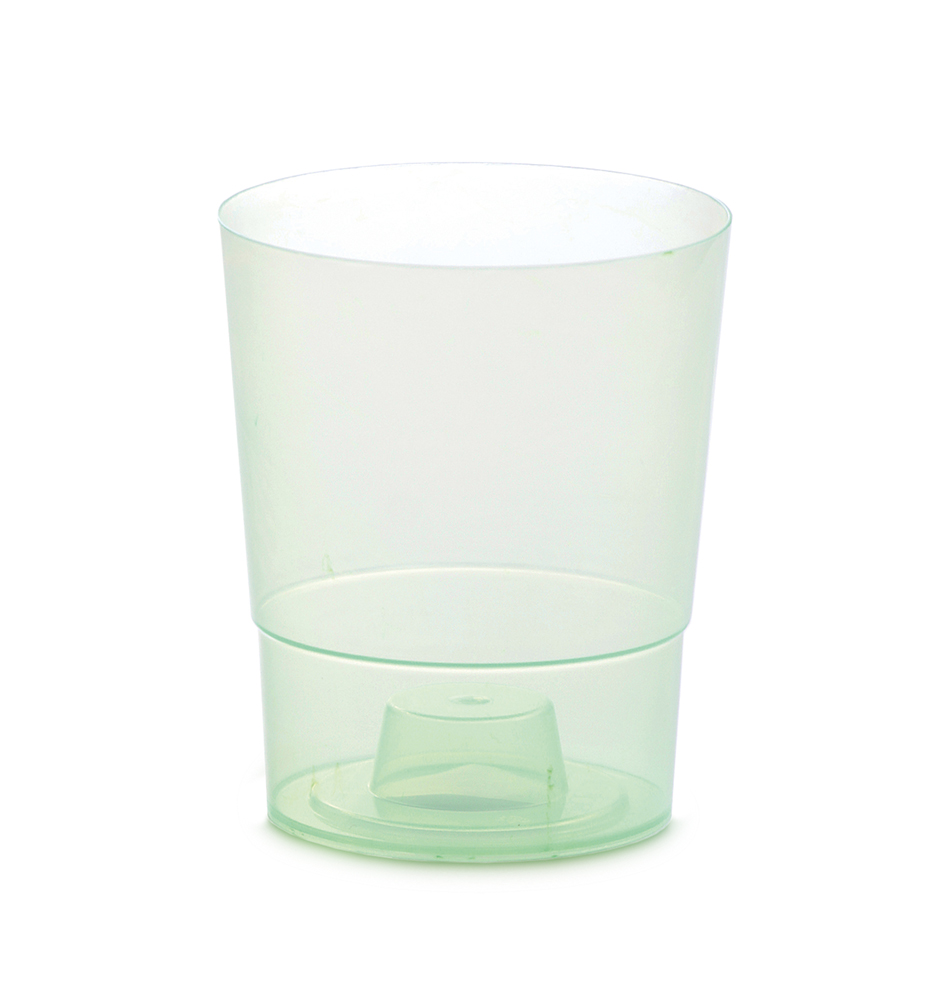 COUBI_Orchid_DSTO125_CG55G_m