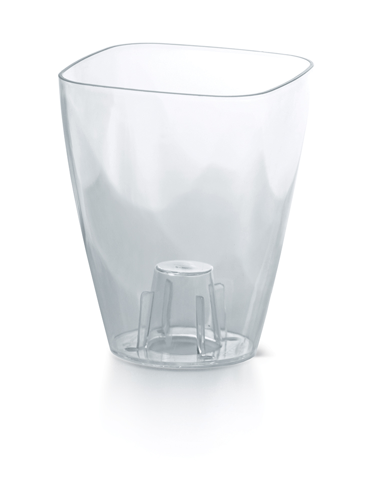 Coubi_Orchid_DUKOP_CPNO_m