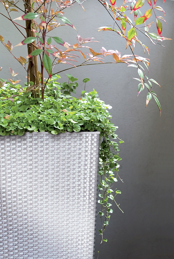 Кашпо RATO Square