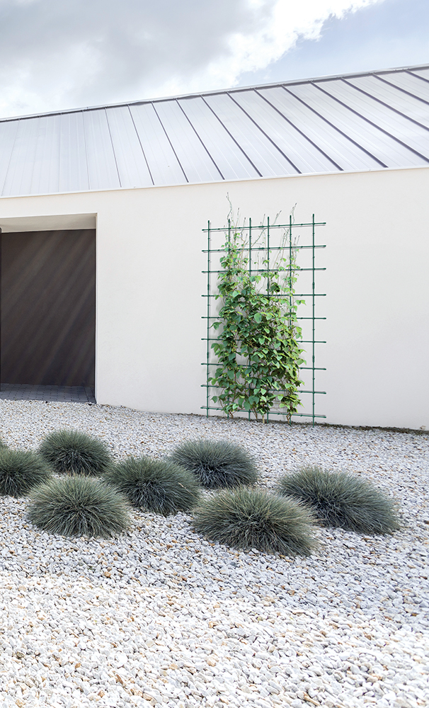 Підтримка Floo Supports IFLS4