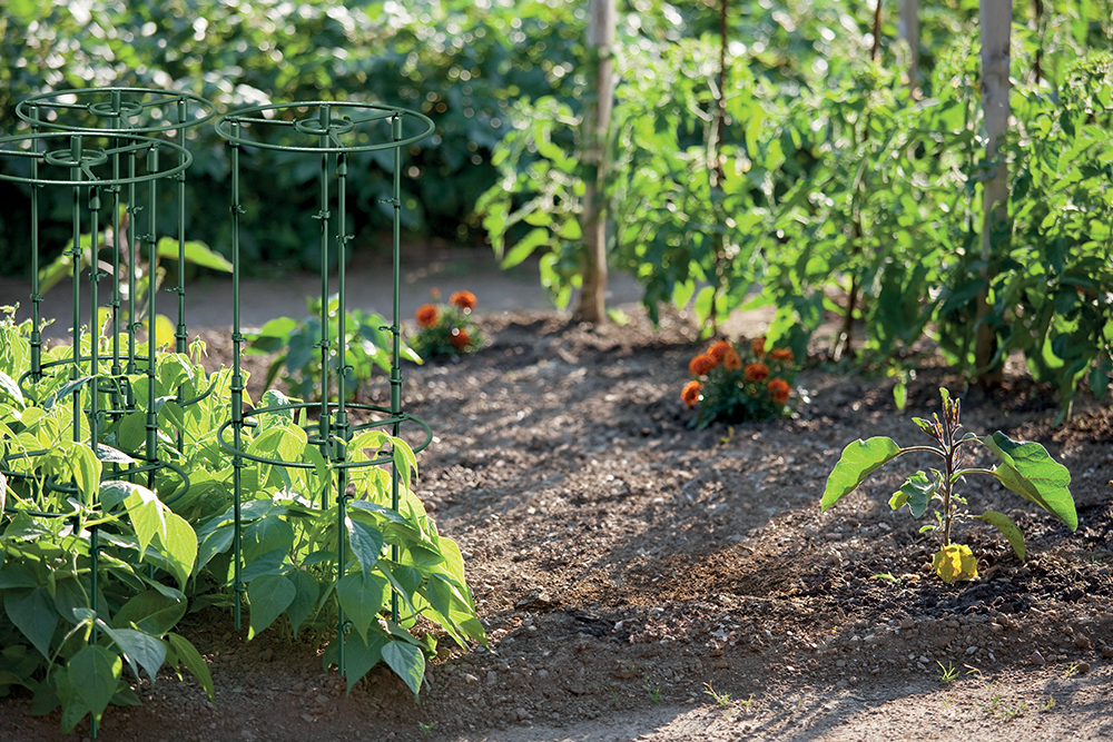 Підтримка Floo Supports IFLS5