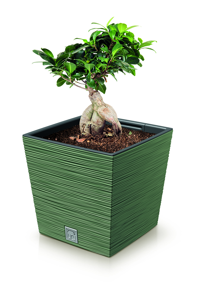 Кашпо FURU square low