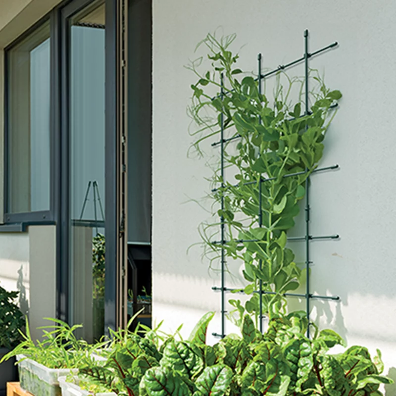 Підтримка Floo Supports IFLS3