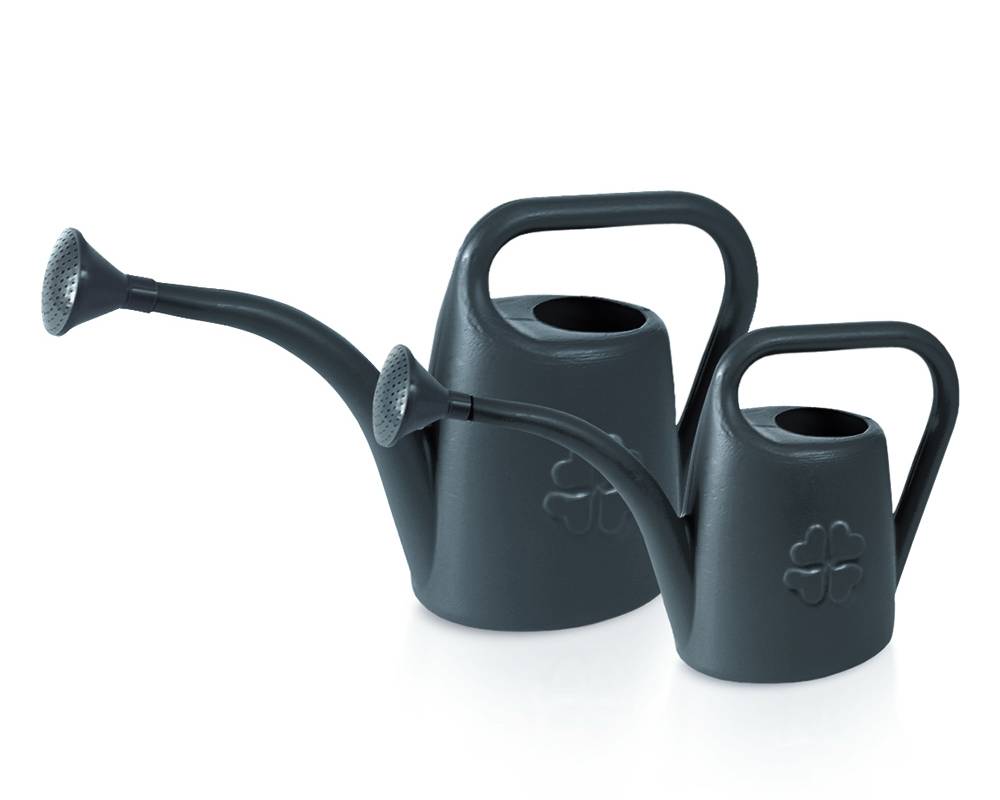 IKON_koni_S433_grupa_m