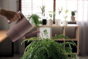 Лійки та обприскувачі