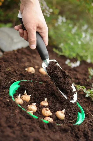 Кошики для цибулиних