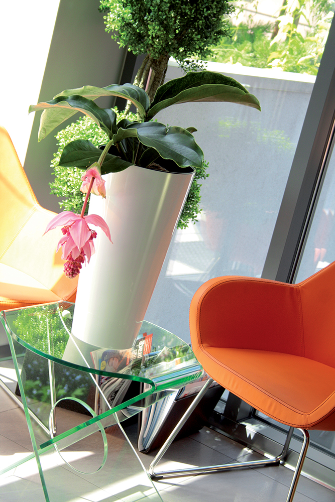 Горщик Tubus Slim Shine